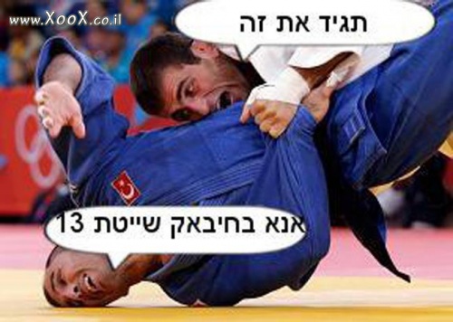 תמונת ג'ודו ישראל באולימפיאדה 2012