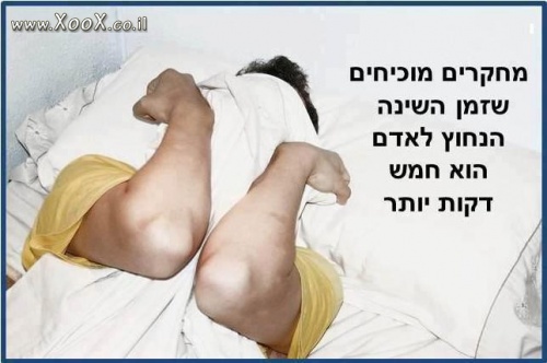 תמונת המחקרים