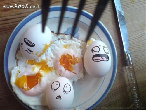 תמונת אימת הביצים
