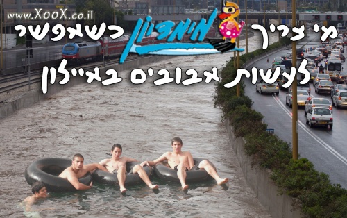 נתיבי איילון 2013