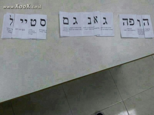 גנגנם סטייל בבחירות 2013