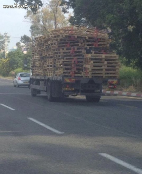 תמונת חלומם הרטוב של ילדים לפני ל?ג בעומר