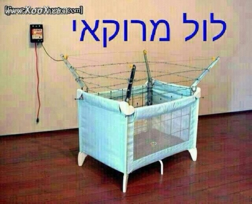 תמונת לול מרוקאי