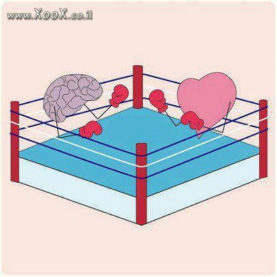 מי ינצח? האהבה או המוח?