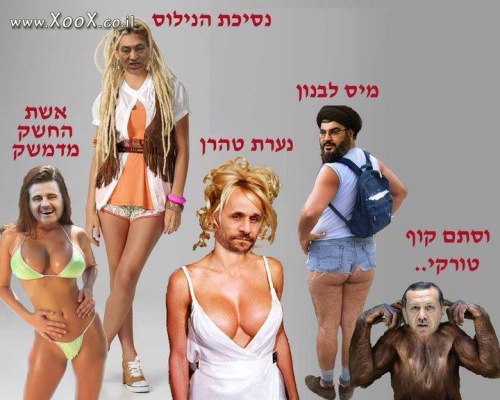 נערות היופי במזרח התיכון