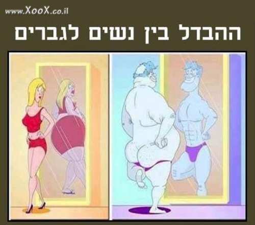 תמונת ההבדל בין גברים לנשים
