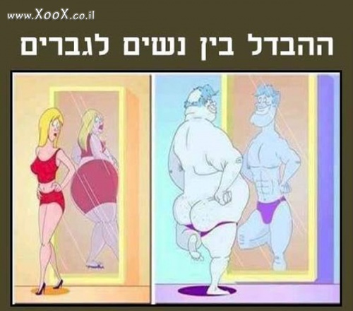 תמונת ההבדל בין גברים לנשים