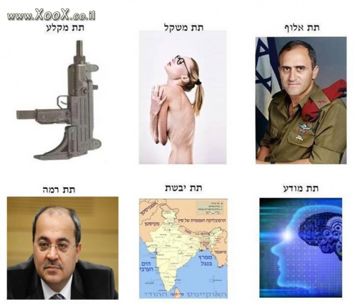 תמונת מילון תת