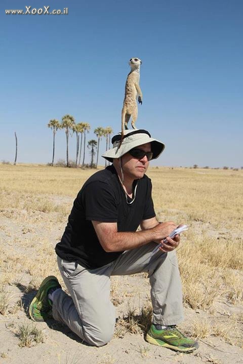 "אני מאמין שהם בקרבת מקום"