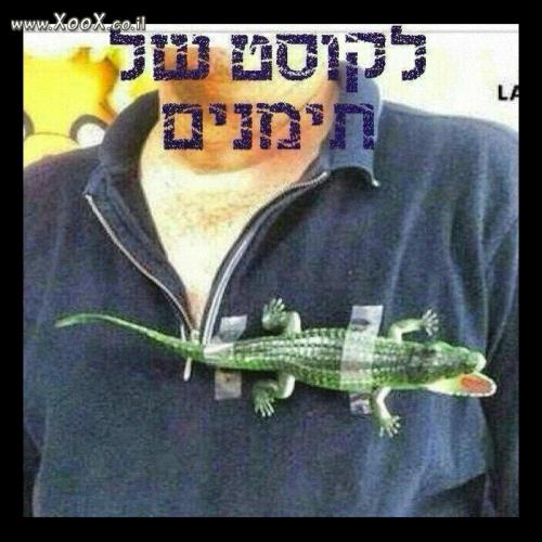 תמונת חולצת לקוסט של תימנים