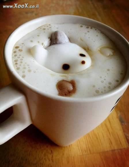 תמונת דובי שטבע לו בקפה
