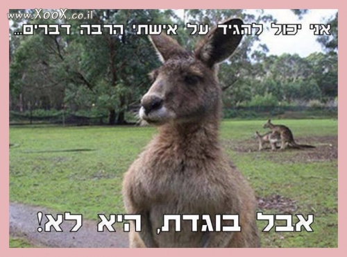 תמונת הרבה דברים על אישתי