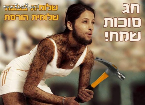 תמונת שלומית בבונה שלומית הורסת