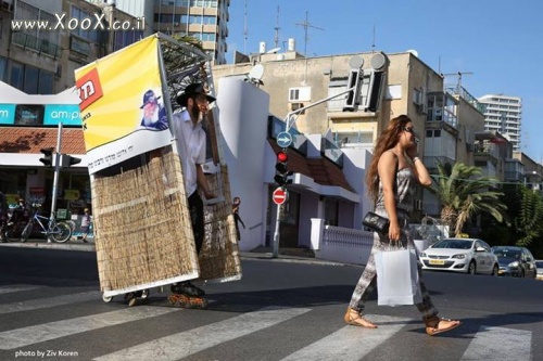 תמונת סוכה על גלגלים עד הבית