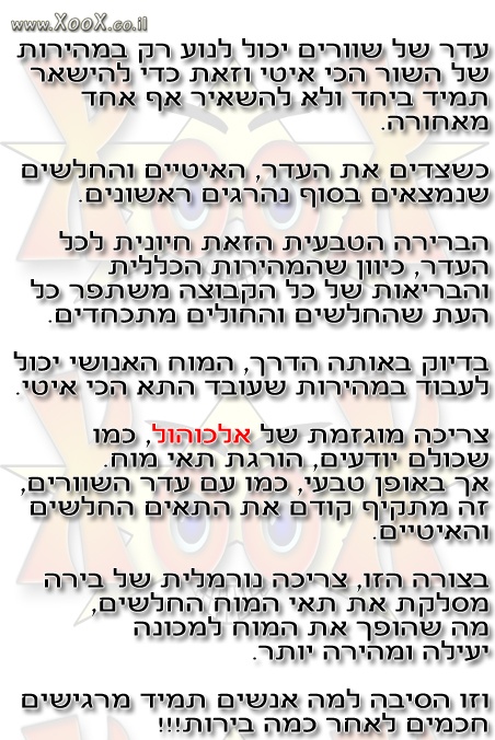 תמונת עדר של שוורים