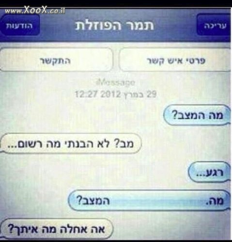 תמונת תמר הפוזלת