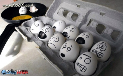 תמונת ביצים מפוחדות