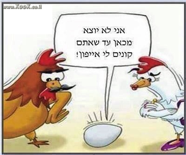 חחחח כל כך נכון