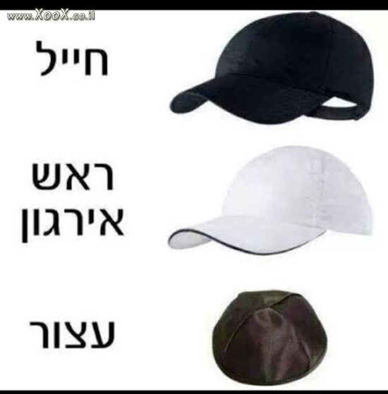 זיהוי ארגון פשע בישראל