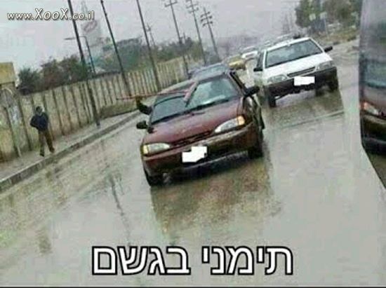 תמונת תימני בגשם