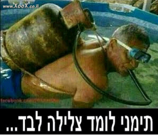 תמונת תימני לומד צלילה