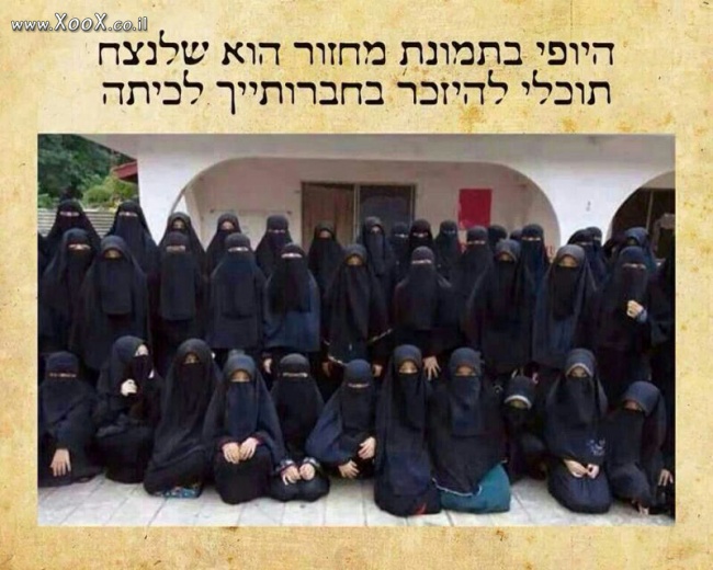 תמונת מחזור