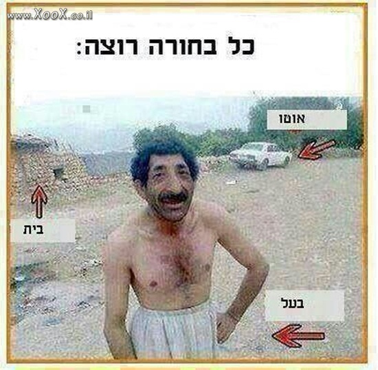 כל מה שבחורה רוצה