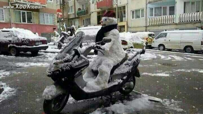 בולי איש השלג והקטנוע