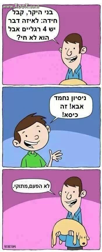 תמונת 4 רגליים אבל לא חי?