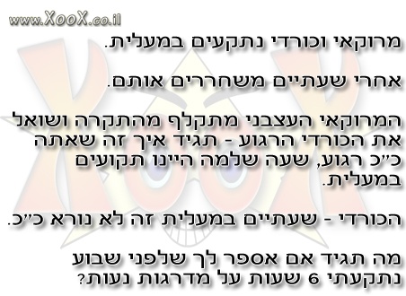 תמונת מרוקאי וכורדי נתקעים במעלית