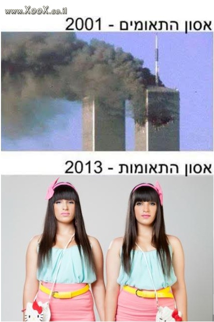 תמונת אסון התאומות 2013