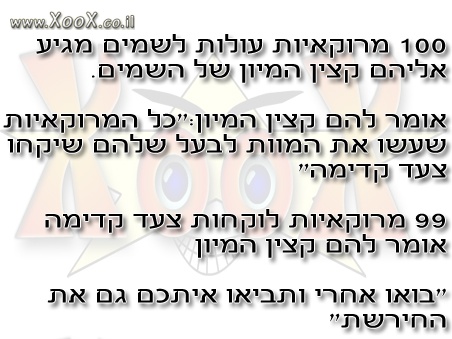 תמונת 100 מרוקאיות