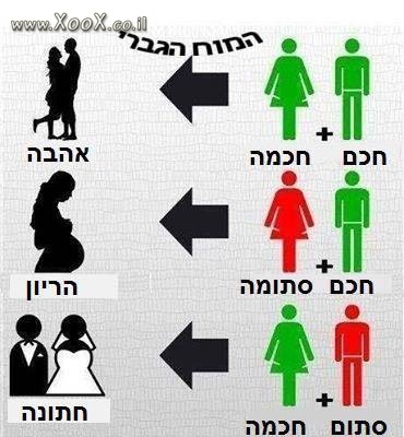 המוח הגברי