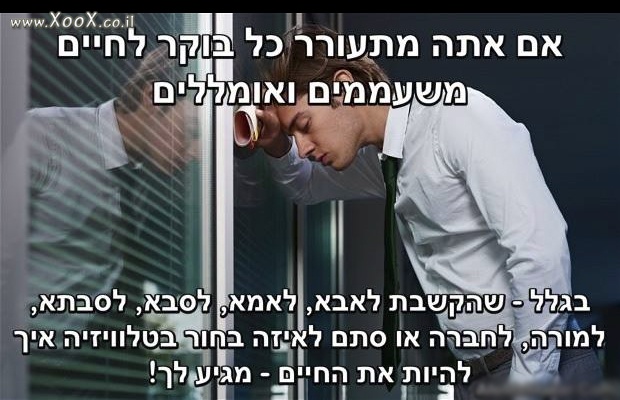 תמונת הבוקר התעוררתי והבנתי...