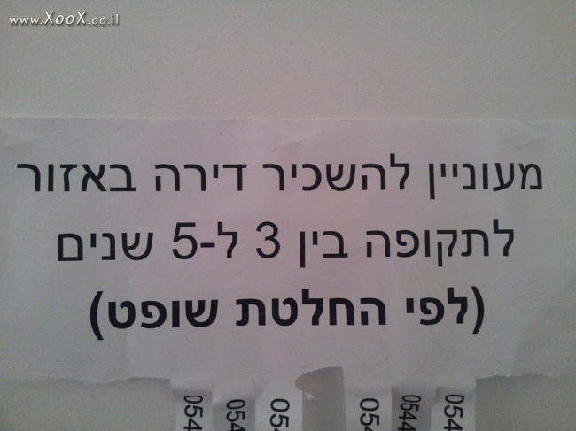 כשעבריין ישראלי מחפש דירה