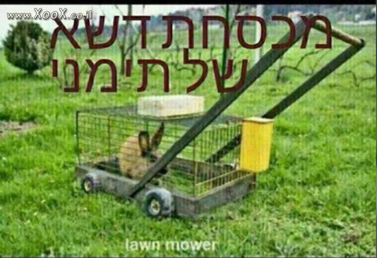 תמונת מכסחת דשא של תימני