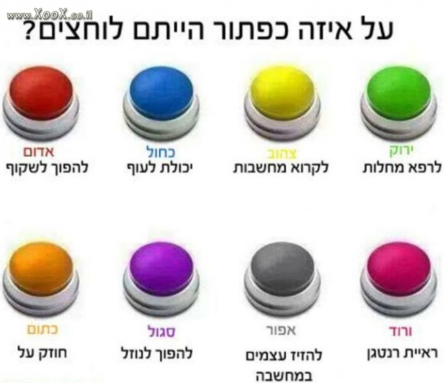 על איזה כפתור הייתם לוחצים?