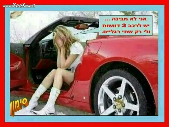 תמונת 3 דוושות