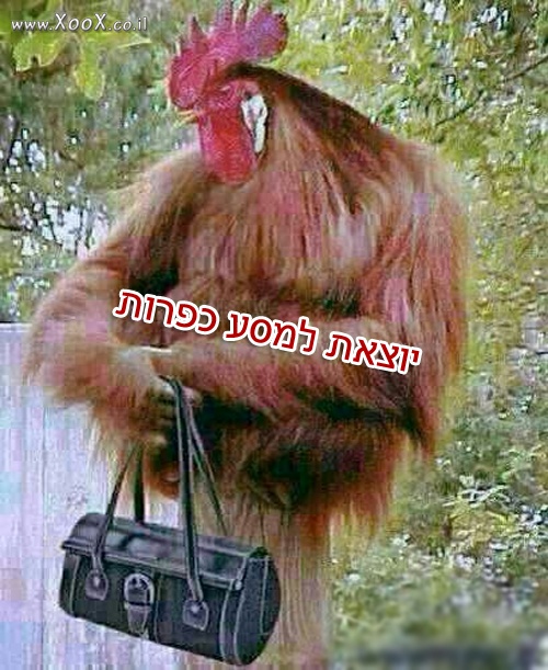 תמונת יוצאת למסע כפרות