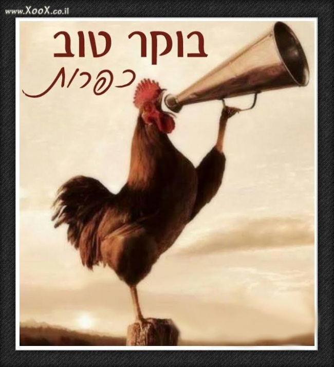 תמונת בוקר טוב כפרות