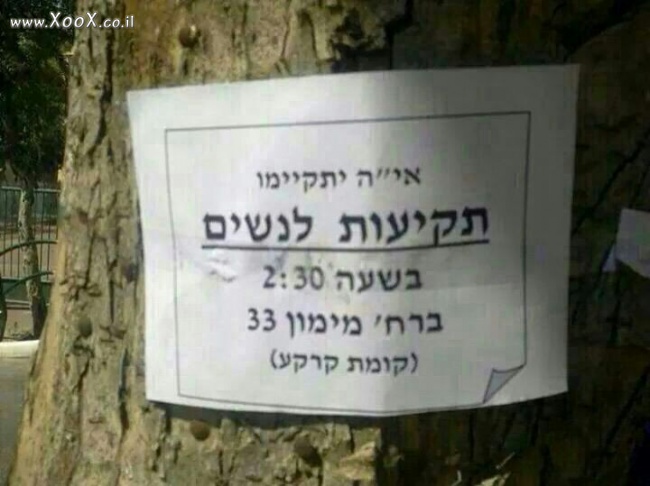 תמונת תקיעות לנשים... אממ... נשמע מעניין