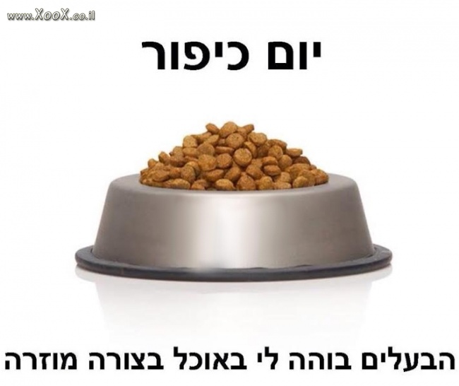 תמונת יום כיפור