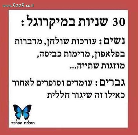 30 שניות במיקרוגל