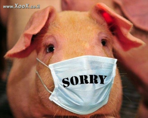 תמונת שפעת חזירים