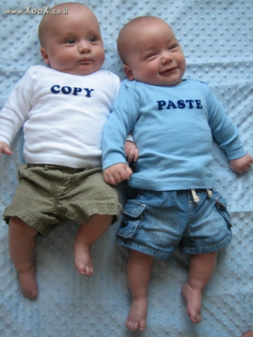 Copy Paste