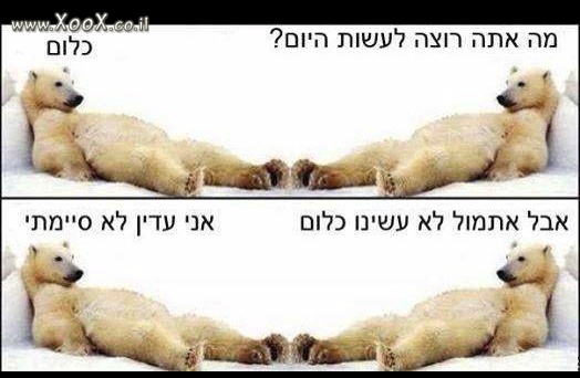 תמונת כלום