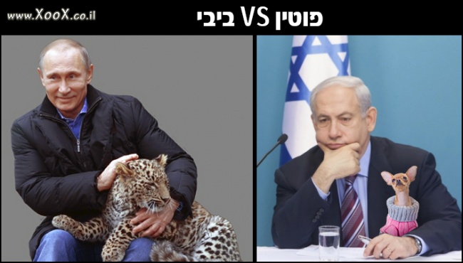 תמונת פוטין VS ביבי