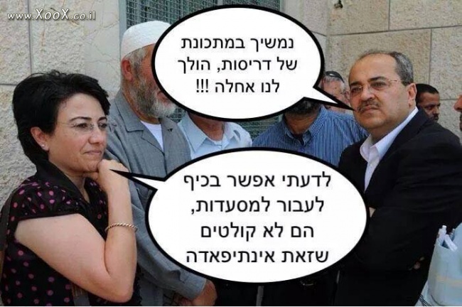 תמונת טיבי וזועבי