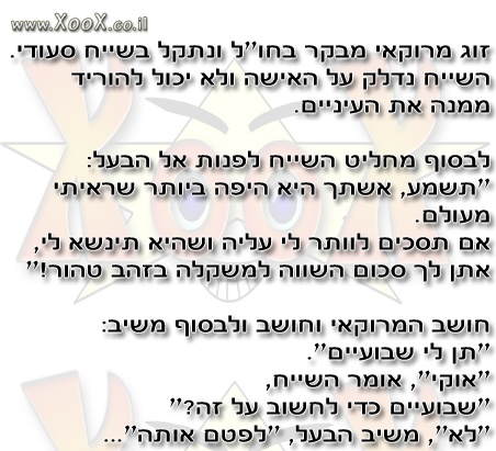 תמונת זוג מרוקאי נתקל בשייח סעודי