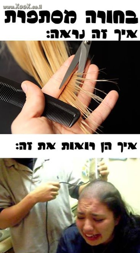 תמונת בחורה מסתפרת